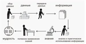 Подробнее о статье Система